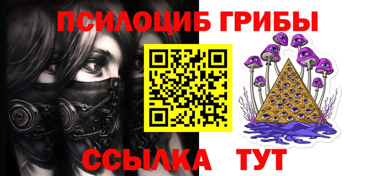 Галлюциногенные грибы GOLDEN TEACHER Мурино